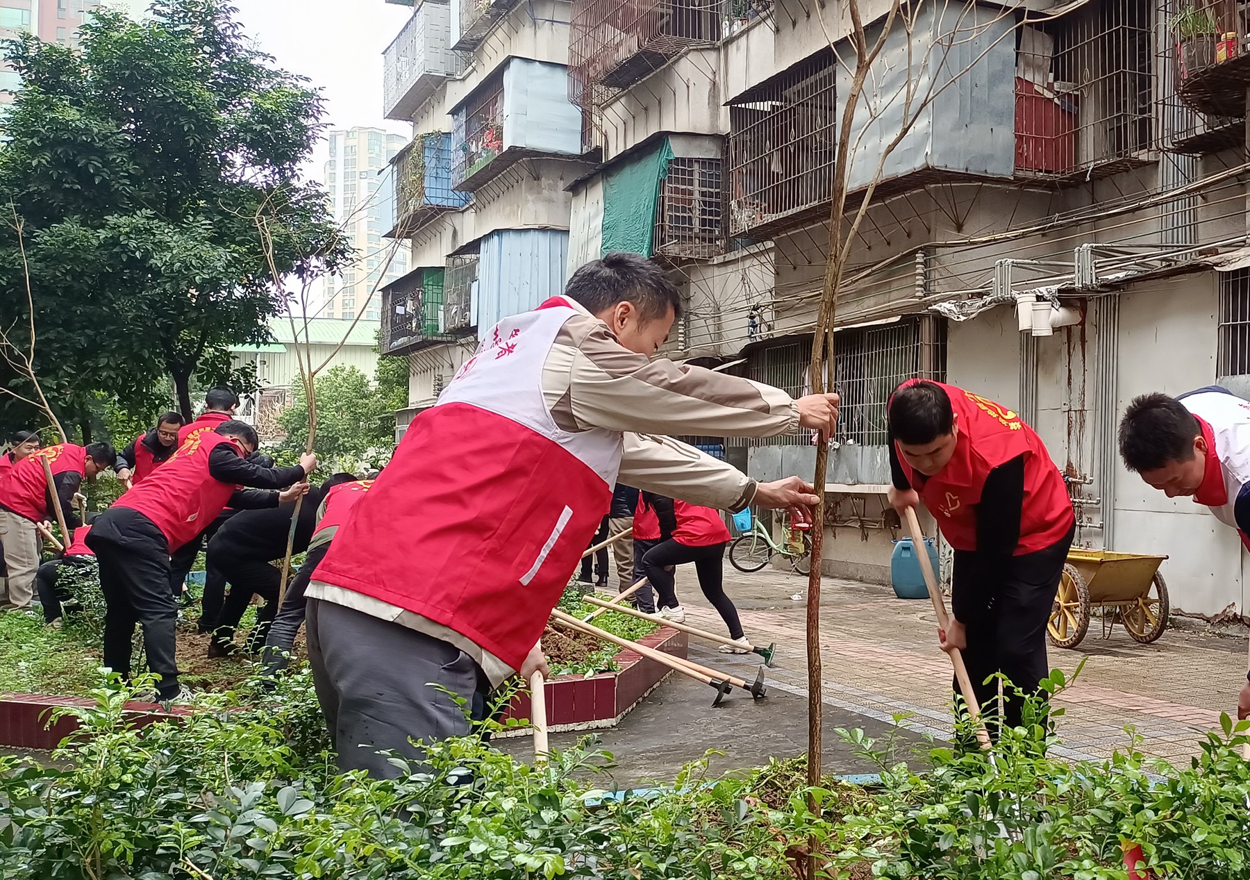 广东煤炭地质二0一勘探队党委组织“绿美清远 你我共建”主题党日活动1.jpg
