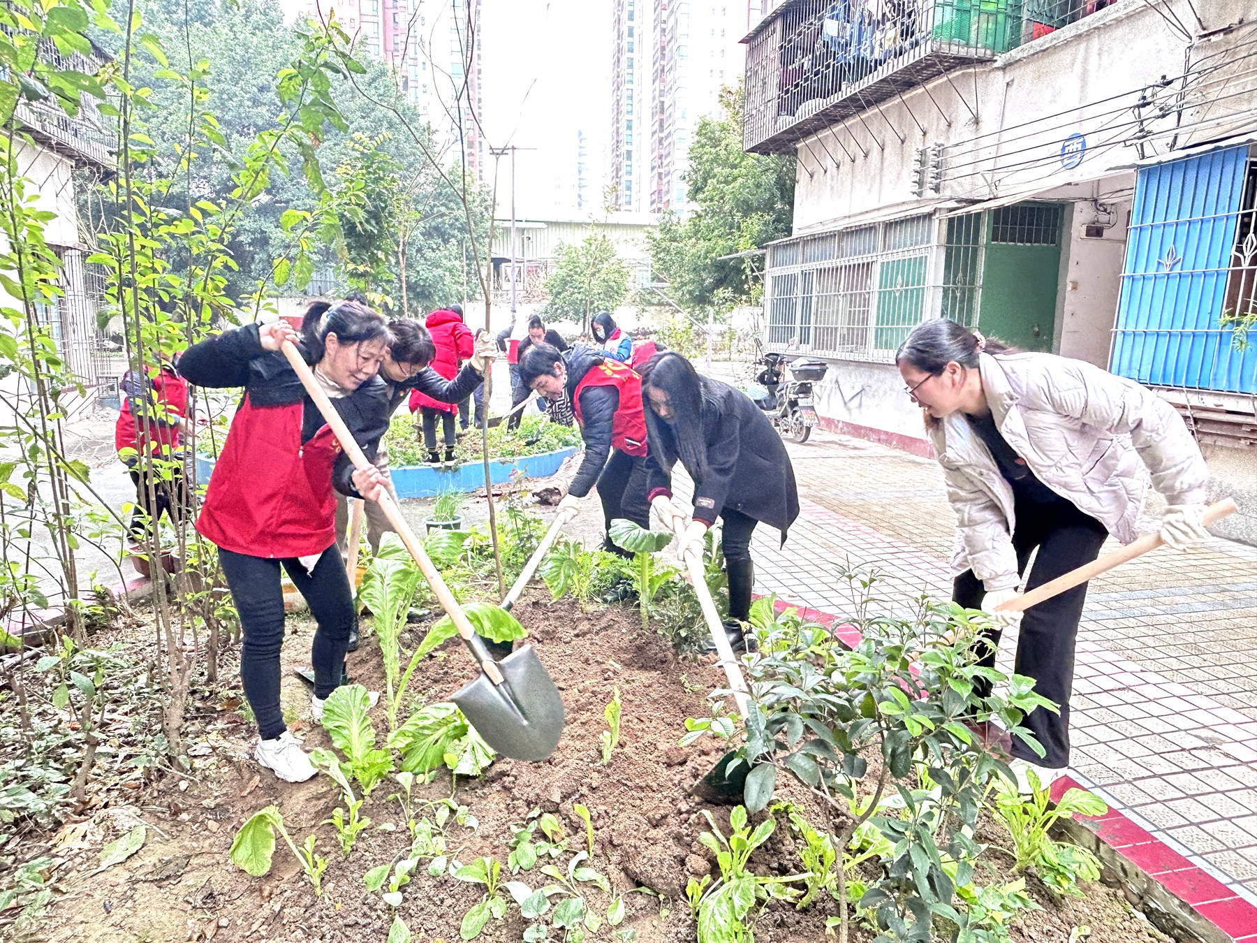 广东煤炭地质二0一勘探队党委组织“绿美清远 你我共建”主题党日活动3.jpg
