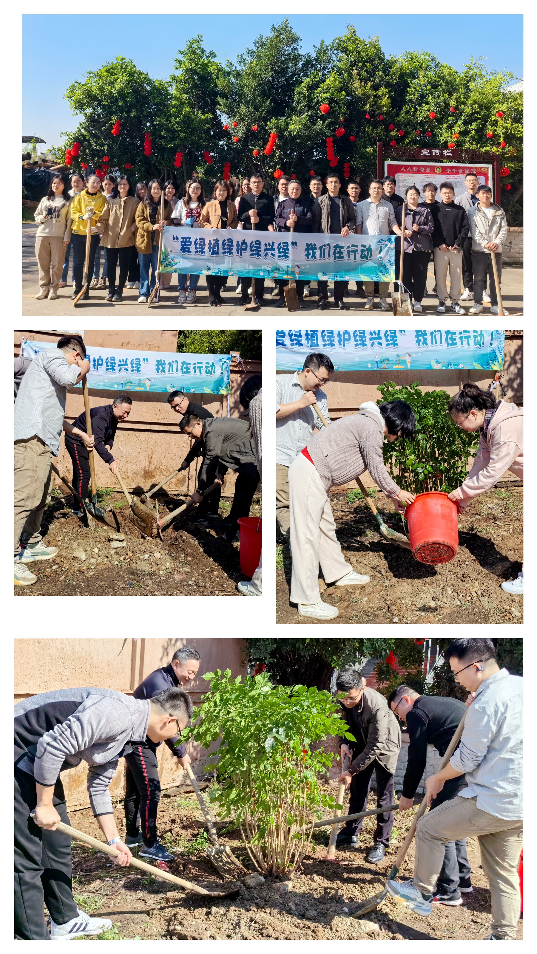 佛山分公司植树节.jpg