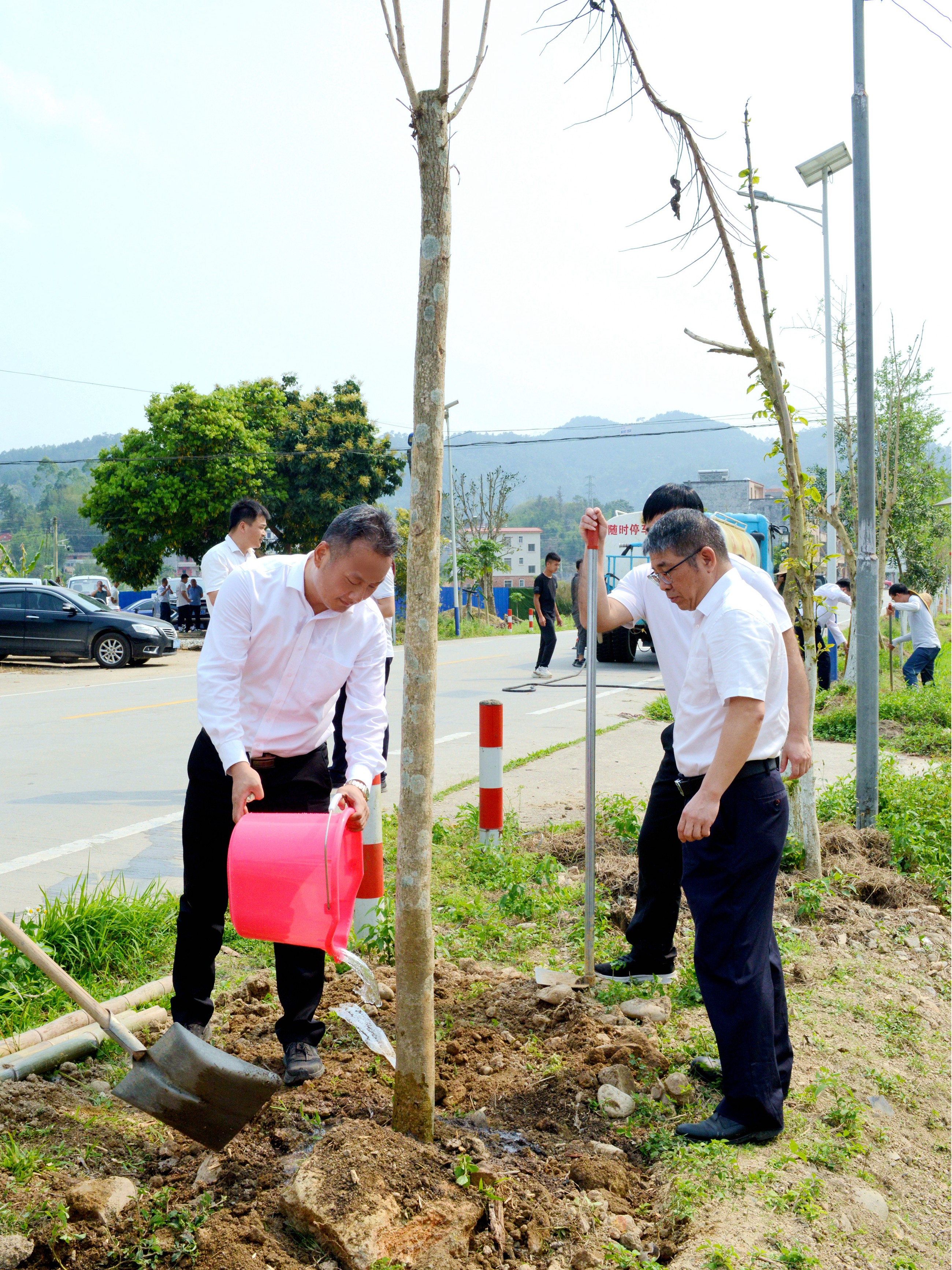 武岳彪一行在合水镇茅帘村植树点参加植树活动3.JPG