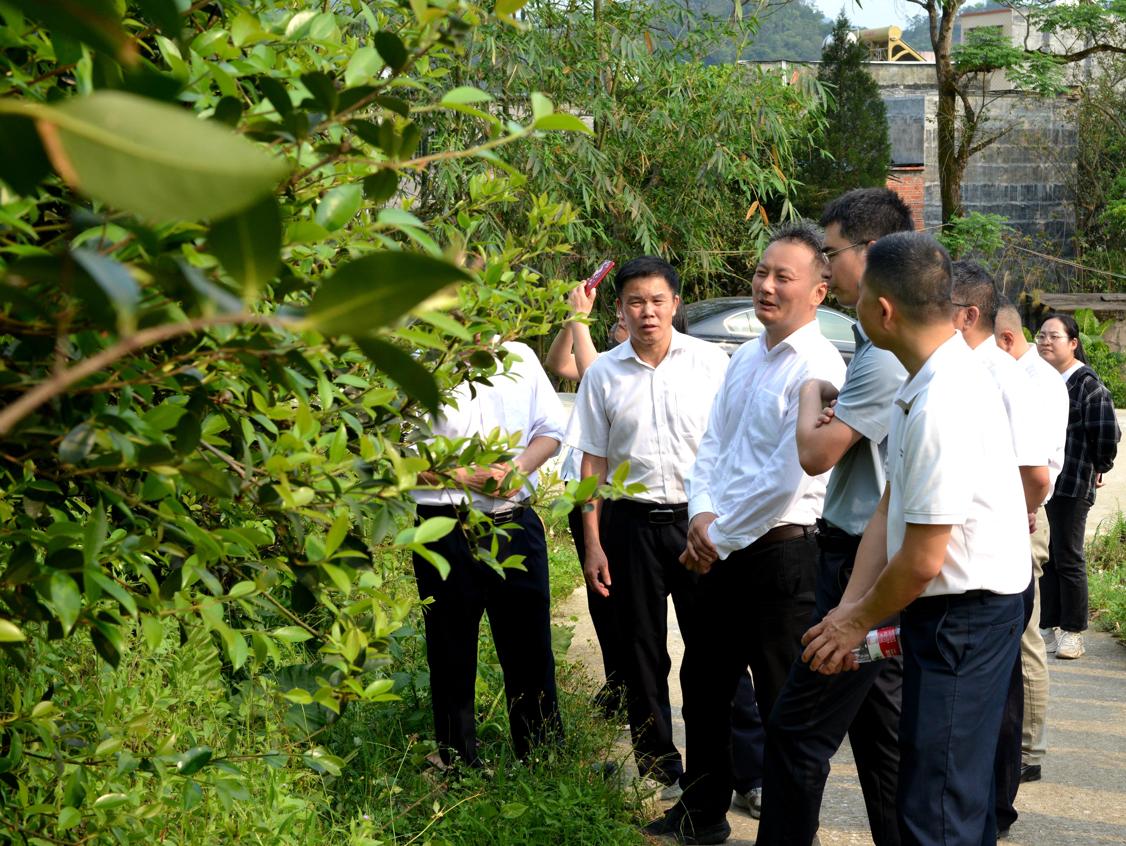 武岳彪考察合水镇油茶加工基地2.JPG