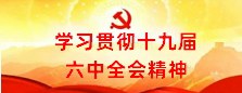 学习贯彻十九届六中全会精神