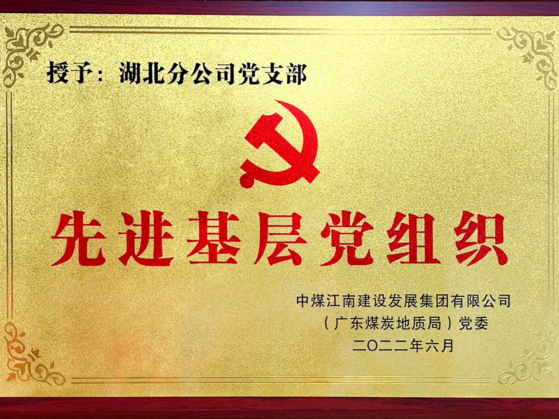 【身边的榜样】“两优一先”代表风采展（一）