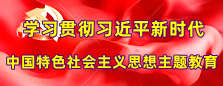 主题教育专题