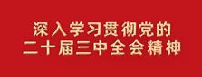 学习贯彻党的二十届三中全会精神